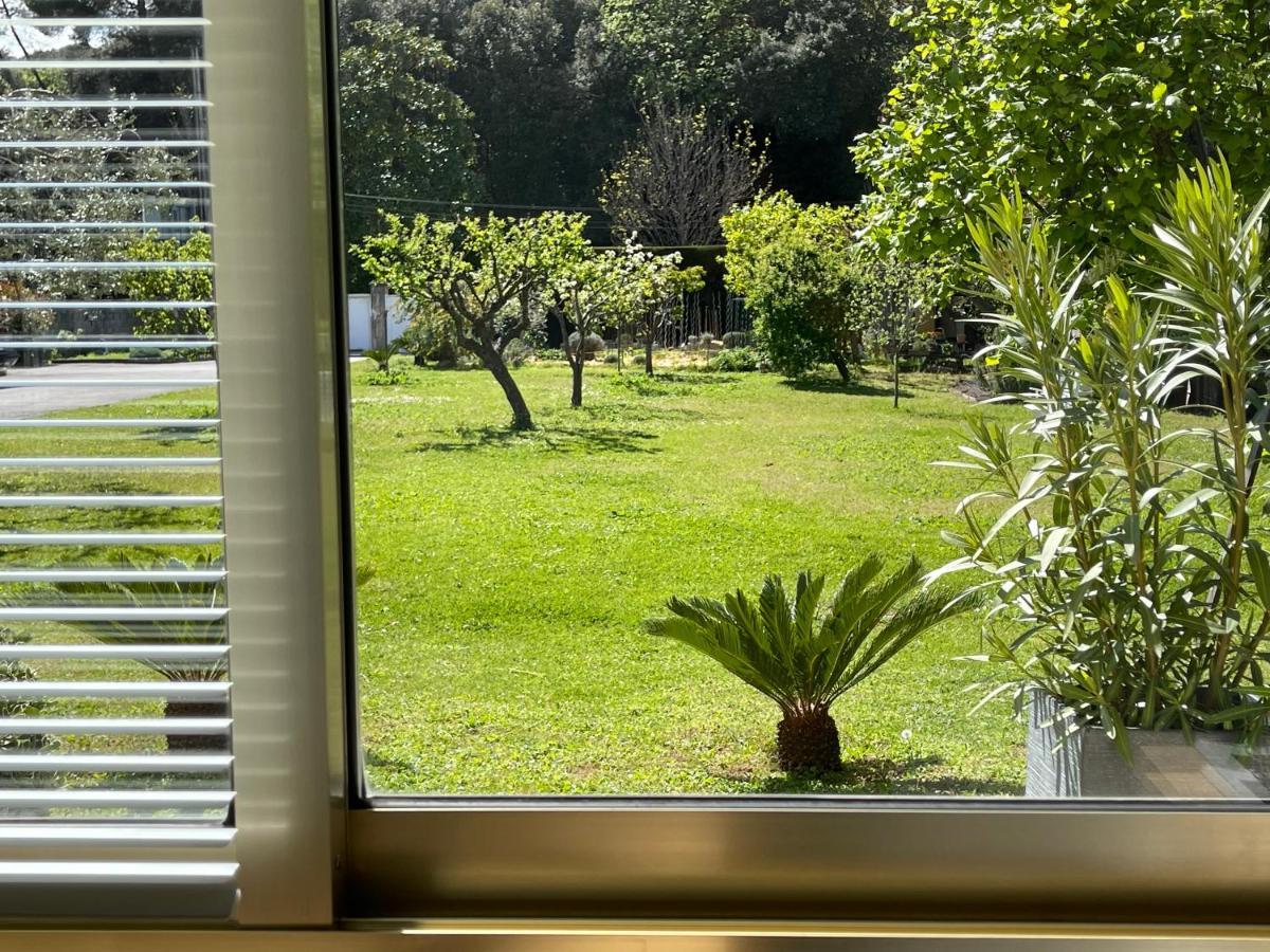 Studio Tout Confort Au Calme Avec Jardin Proche Cannes Ле-Канне Экстерьер фото